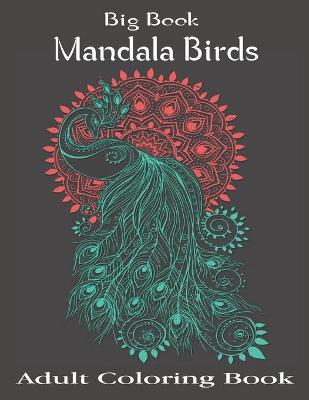 Book cover for Big Book Mandala Birds Adult Coloring Book