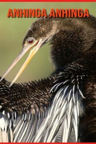 Cover of Anhinga anhinga