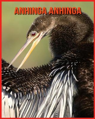 Book cover for Anhinga anhinga