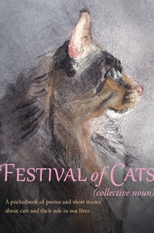 Cover of Festival of Cats