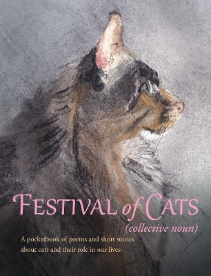 Book cover for Festival of Cats