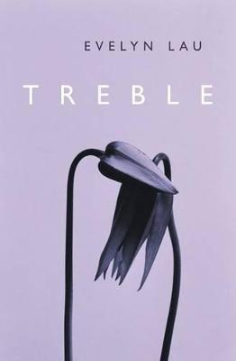 Book cover for Treble