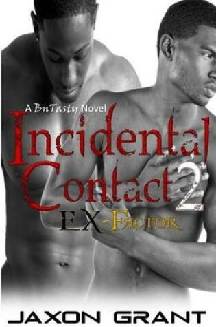 Cover of Incidental Contact 2