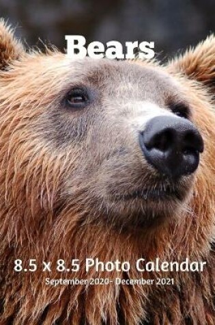 Cover of Bears 8.5 X 8.5 Calendar September 2020 -December 2021