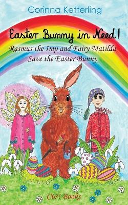 Book cover for Easter Bunny in Need!