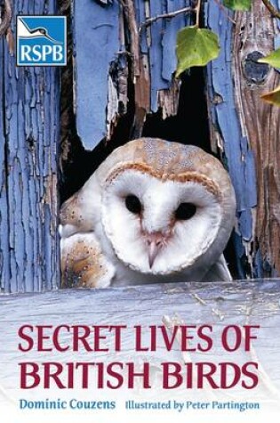 Cover of Secret Lives of British Birds