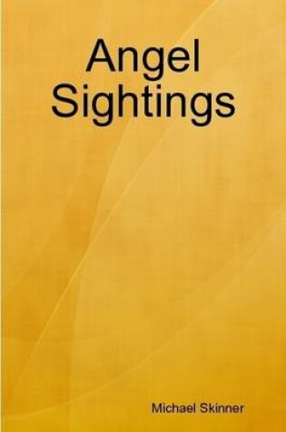 Cover of Angel Sightings