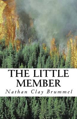 Book cover for The Little Member