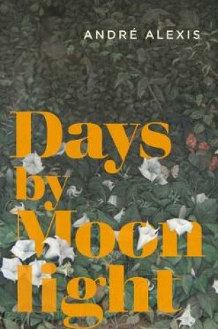 Cover of Days by Moonlight