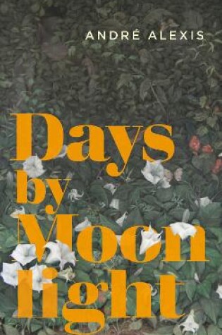 Cover of Days by Moonlight