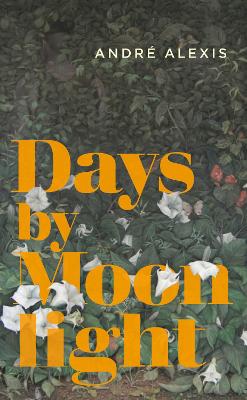 Book cover for Days by Moonlight