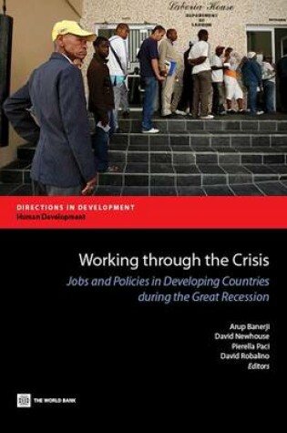 Cover of Working Through the Crisis