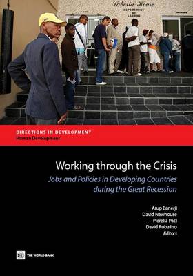 Book cover for Working Through the Crisis