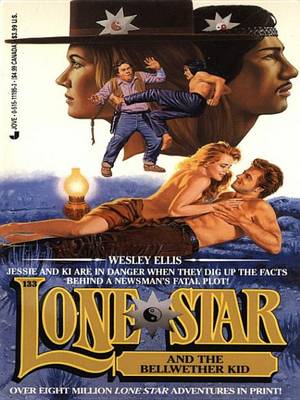 Book cover for Lone Star 133
