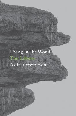 Book cover for Living In The World As If It Were Home