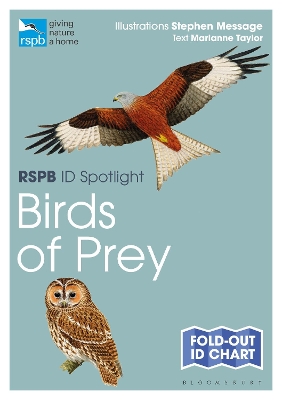 Book cover for RSPB ID Spotlight - Birds of Prey