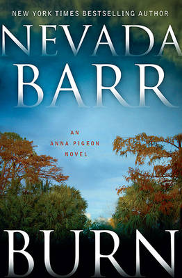 Cover of Burn