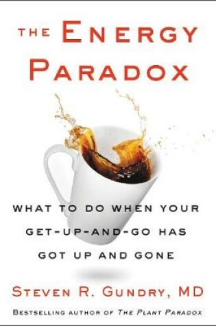 Cover of The Energy Paradox