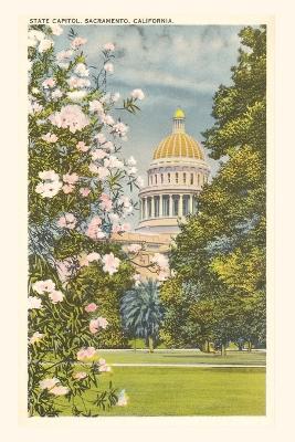 Cover of The Vintage Journal State Capitol, Sacramento