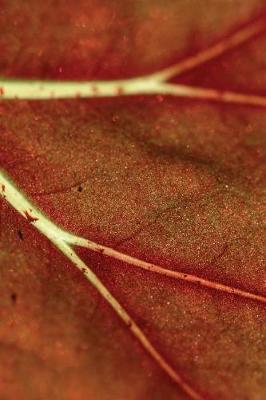 Cover of Autumn Leaf Veins Grid Notebook
