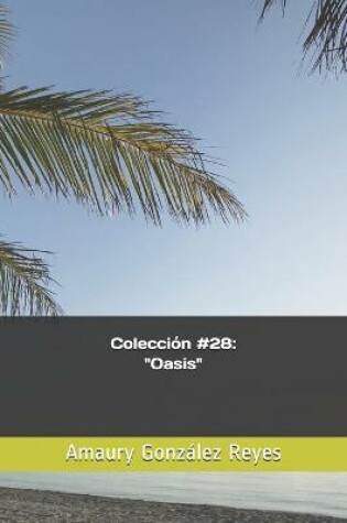 Cover of Coleccion #28