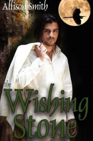 Cover of The Wishing Stone