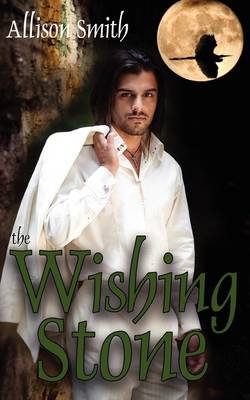 Book cover for The Wishing Stone