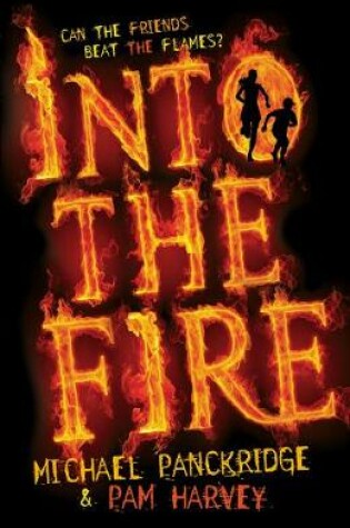 Cover of Into the Fire