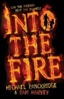 Book cover for Into the Fire