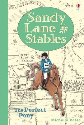 Book cover for Sandy Lane Stables The Perfect Pony