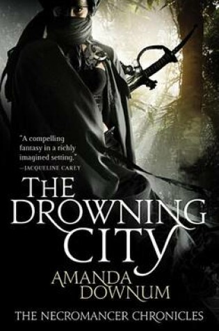 Cover of The Drowning City