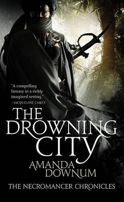 Book cover for The Drowning City