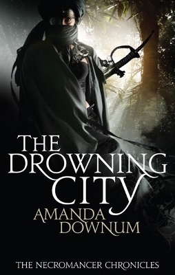 Book cover for The Drowning City
