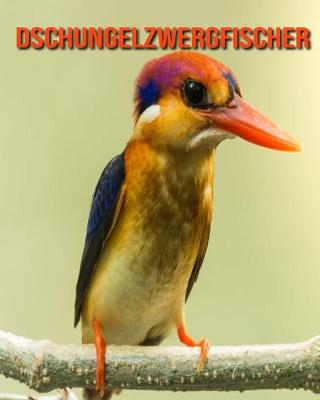 Book cover for Dschungelzwergfischer