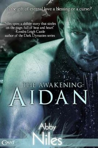 Cover of The Awakening: Aidan