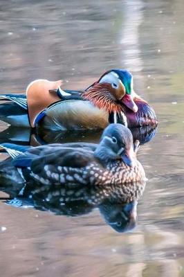 Book cover for Mandarin Ducks on the Pond Journal