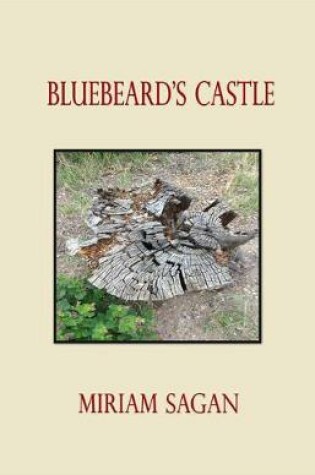 Cover of Bluebeard's Castle