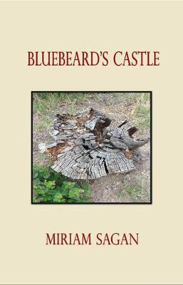 Book cover for Bluebeard's Castle