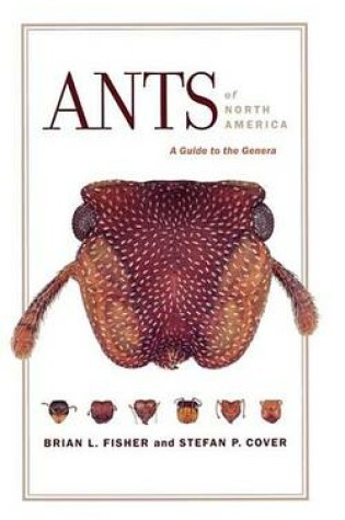 Cover of Ants of North America