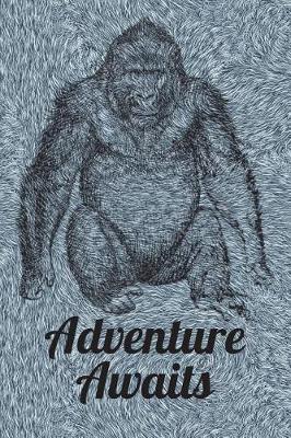 Book cover for Adventure Awaits