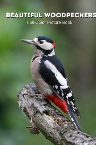 Cover of Beautiful Woodpeckers Full-Color Picture Book