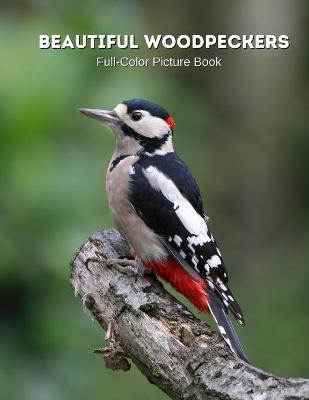 Book cover for Beautiful Woodpeckers Full-Color Picture Book