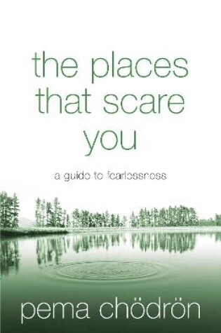 Cover of The Places That Scare You
