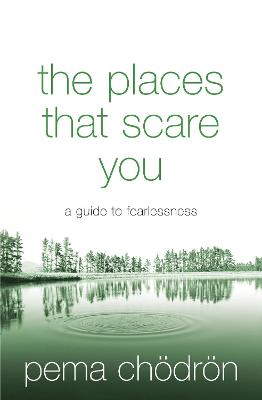 Book cover for The Places That Scare You