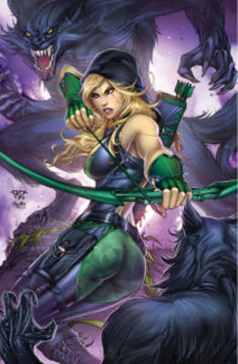 Book cover for Robyn Hood Volume 1