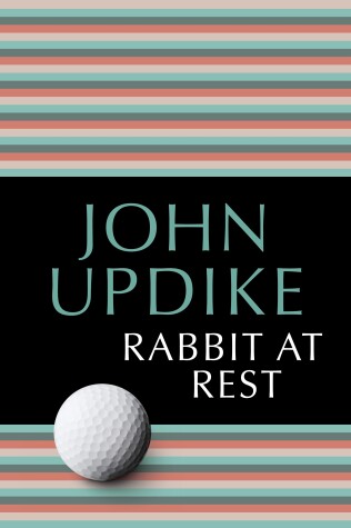 Book cover for Rabbit at Rest