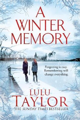 Cover of A Winter Memory