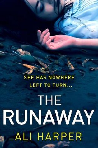 Cover of The Runaway