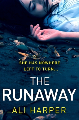 Book cover for The Runaway