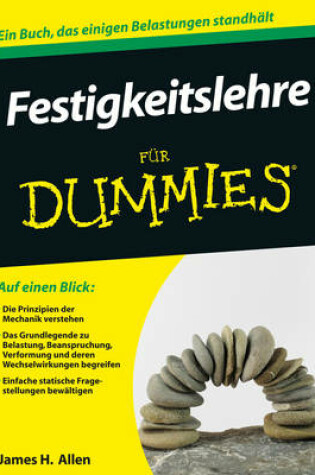 Cover of Festigkeitslehre für Dummies